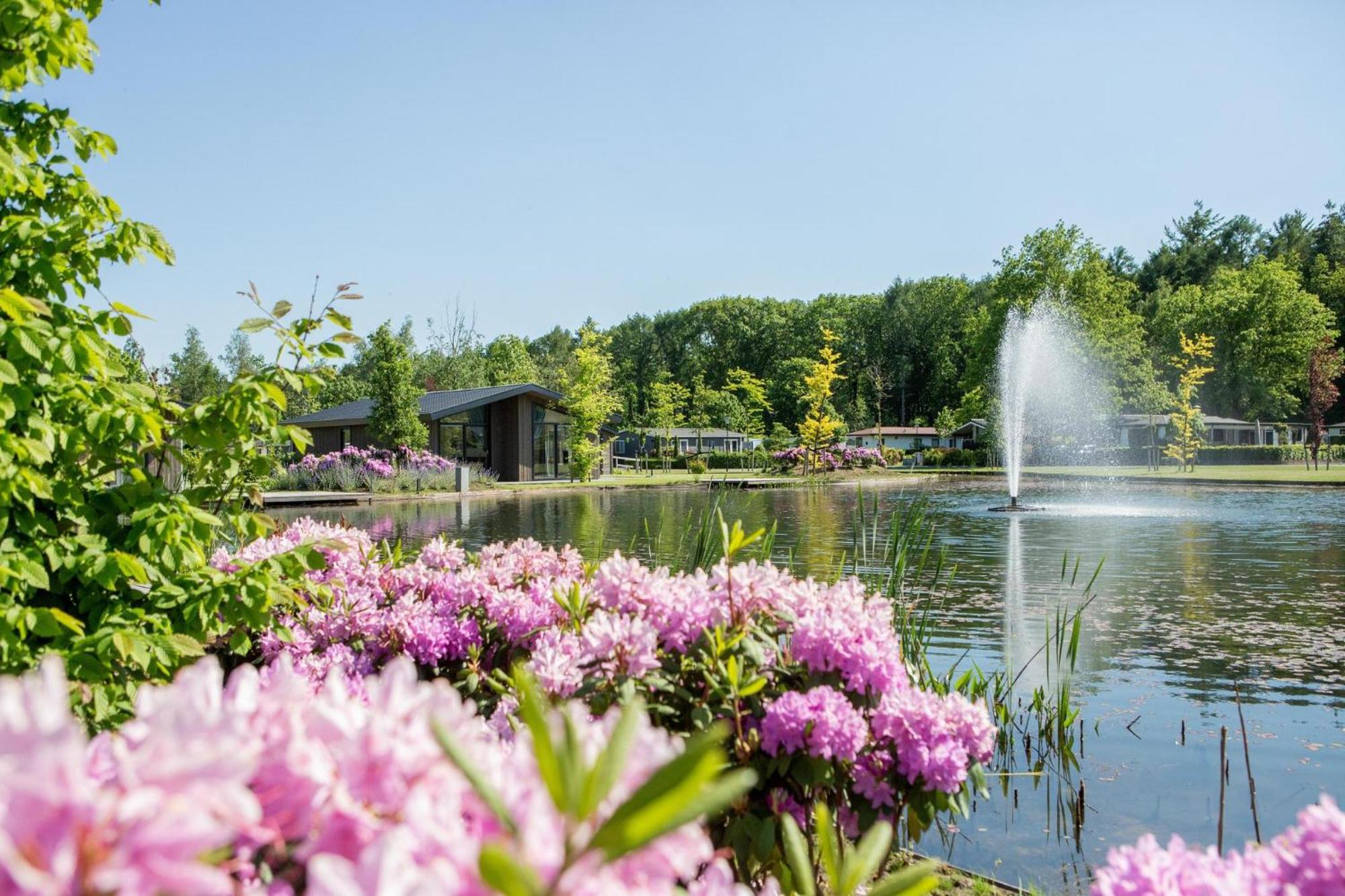 Vakantiepark Molenvelden 벨트호벤 외부 사진